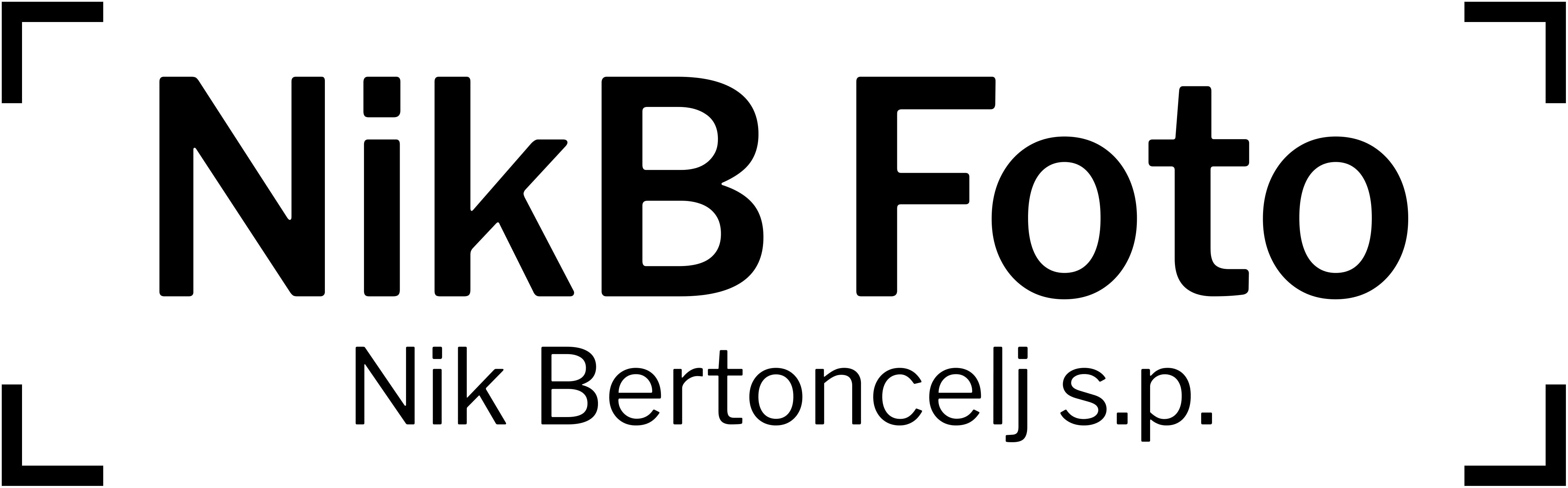 LOGO NIKBFOTO